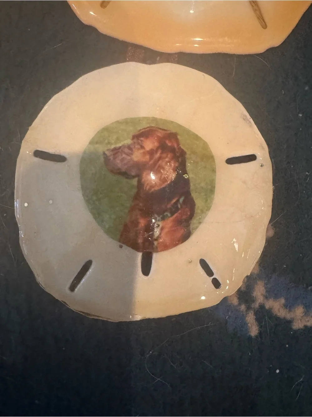 Handmade Golden Retriever real  Sand Dollar Dog Ornament s